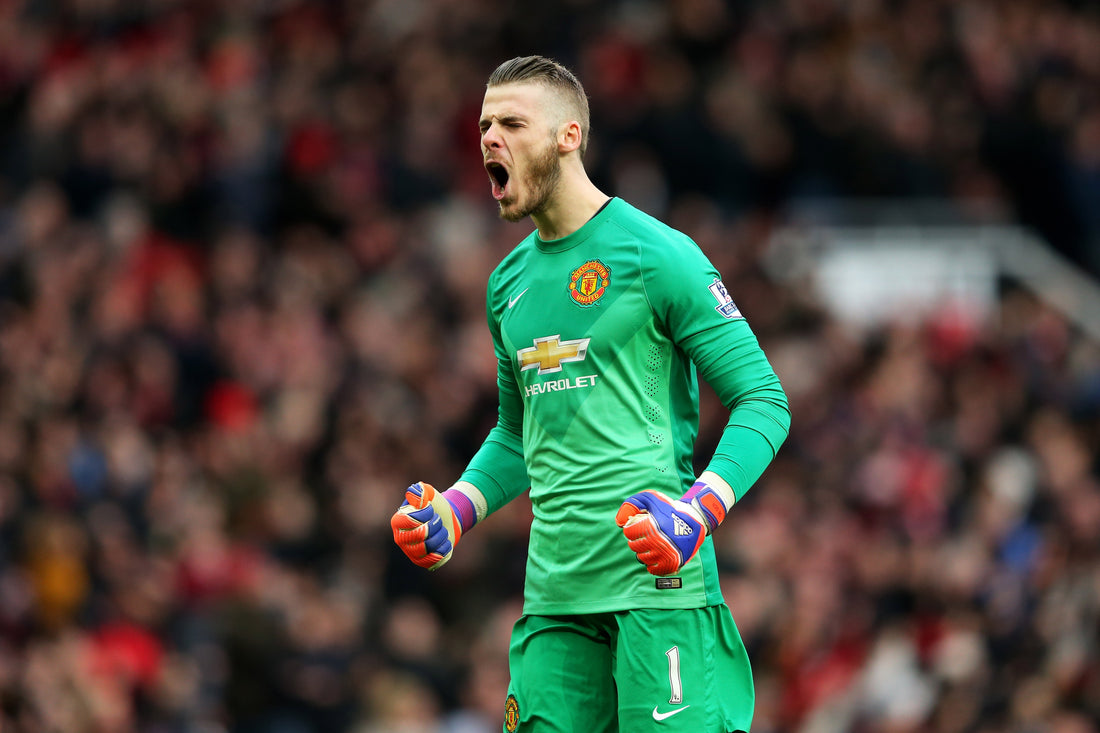 Carlo Ancelotti adds fuel to David de Gea fire